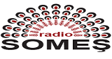 radiosomes